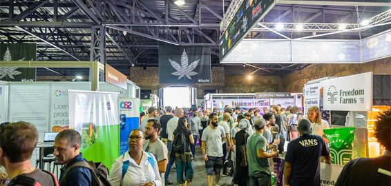 What Are Some Cannabis Events I Need To Attend In 2020? 2