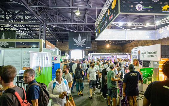 What Are Some Cannabis Events I Need To Attend In 2020? - 420 Web Pros